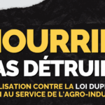 nourrir pas detruire.width 1000